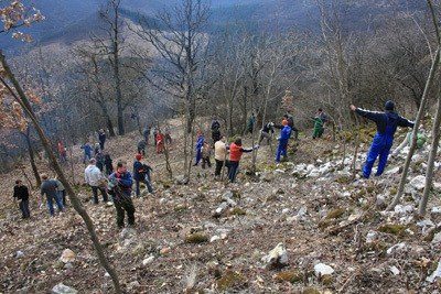 Izzanak a fürészek, fogy a bozót... a D-i vároldal újra a miénk